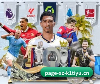 K1体育网页版 APP