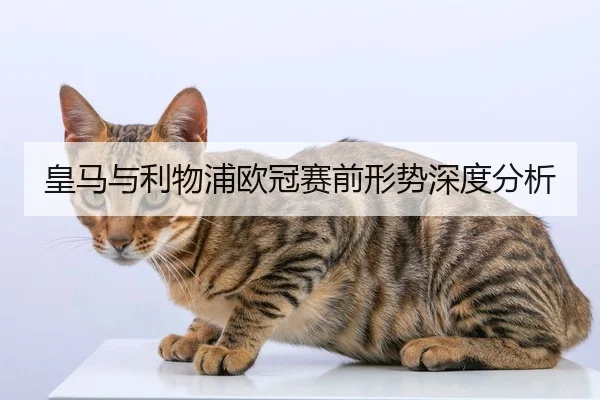 皇马与利物浦欧冠赛前形势深度分析